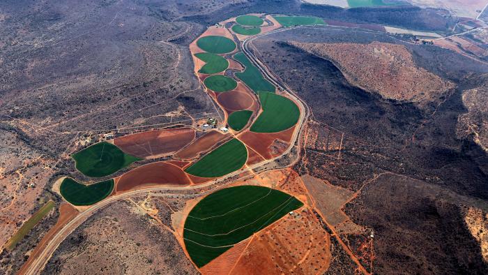 View of irrigated fields by Wynand Uys/Unsplash